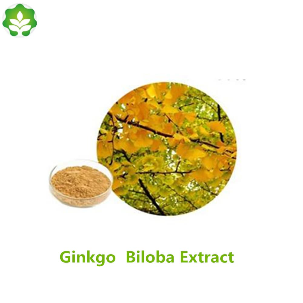 flavone glycosides silver apricot leaf extract on food grade